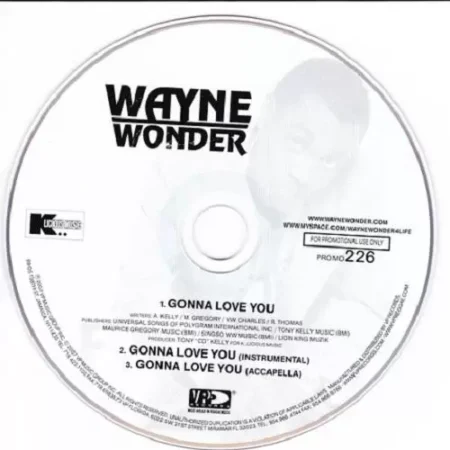 whats love riddim - vp records