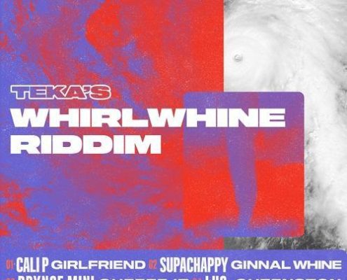 Whirlwhine Riddim Lowlow Records