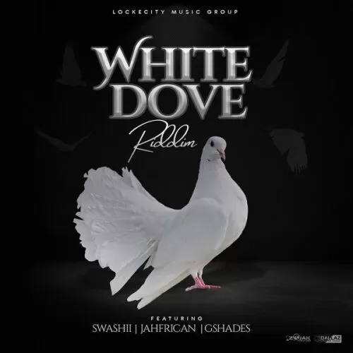 white dove riddim - lockecity music group