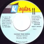 Who She Love Riddim (1994) – Kingston 11