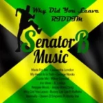 Why Did You Leave Riddim – Senator B Music