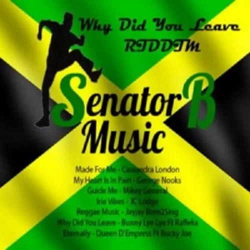 why did you leave riddim - senator b music