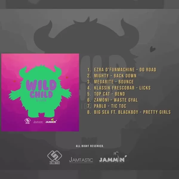 Wild Child Riddim - Kinetix / Jammin Records