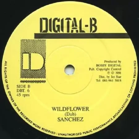 Wild Flower Riddim - Digital B