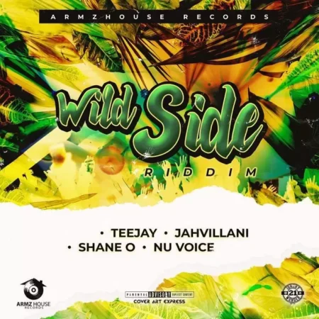 wild side riddim - armzhouse records