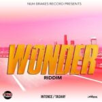 Wonder Riddim (2020) – Nuh Brakes Records
