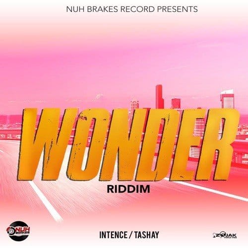 wonder riddim - nuh brakes records