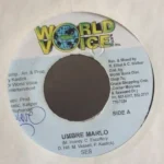 World Rock Riddim – World Voice