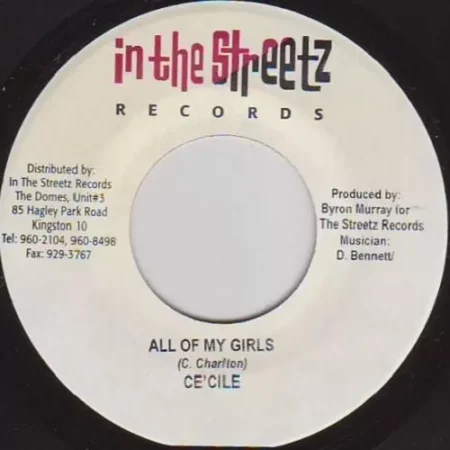 Worried Riddim - In The Streetz Records