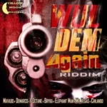 Wul Dem Again Riddim – Yellow Moon Records