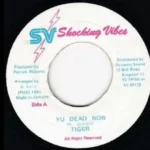 You Dead Now Riddim – Shocking Vibes Production