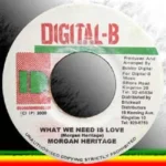 You Dont Care Riddim (2000) – Digital B