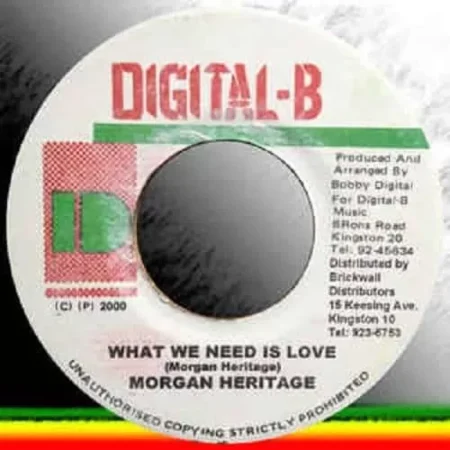 You Dont Care Riddim - Digital B