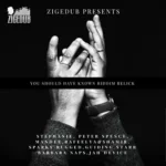 You Should Have Known Riddim (2017) – Zigedub