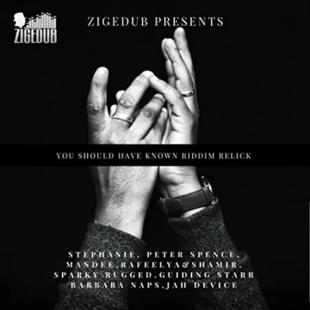 You Should Have Known Riddim – Zigedub you should have known riddim - zigedub