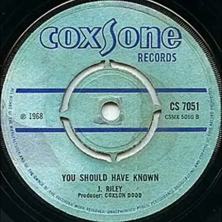 You Should Have Known Riddim - Various Labels