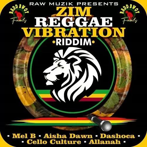 zim reggae vibration riddim - raw muzik