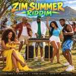 Zim Summer Riddim – Riddim World Records